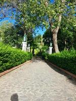 A Verdant Path Through a City Oasis photo