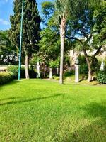 Nature's Emerald Carpet Unfurls in the City's Embrace photo