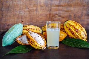 Fresh cacao water in glass and half sliced ripe yellow cacao pod with white cocoa seed, Cacao juice in glass on vintage wooden background photo