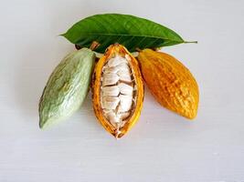 Top view of half sliced ripe yellow cacao pod with white cocoa seed ,Cut in half fresh ripe cacao and green raw cacao fruit on white wooden background photo