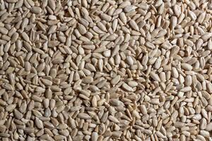 Peeled Sunflower Seeds Background. A Culinary Canvas of Shell-free Sunflower Seeds, Creating a Lively and Textured Background for Gourmet Cooking - Top View, Flat Lay photo