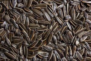 Non Salty Roasted Sunflower Seeds in Shell. A Culinary Canvas of Sunflower Kernels, Creating a Lively and Textured Background for Gourmet Cooking. Scattered Sun Flower Seeds - Top View, Flat Lay photo
