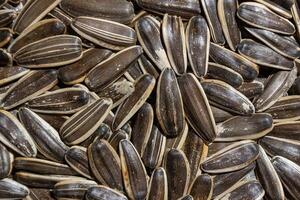 Non Salty Roasted Sunflower Seeds in Shell. A Culinary Canvas of Sunflower Kernels, Creating a Lively and Textured Background for Gourmet Cooking. Scattered Sun Flower Seeds - Top View, Flat Lay photo