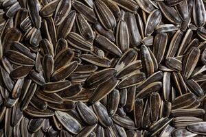 Non Salty Roasted Sunflower Seeds in Shell. A Culinary Canvas of Sunflower Kernels, Creating a Lively and Textured Background for Gourmet Cooking. Scattered Sun Flower Seeds - Top View, Flat Lay photo