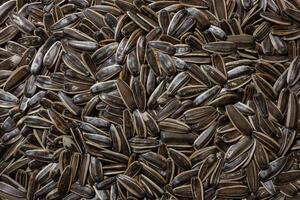 Non Salty Roasted Sunflower Seeds in Shell. A Culinary Canvas of Sunflower Kernels, Creating a Lively and Textured Background for Gourmet Cooking. Scattered Sun Flower Seeds - Top View, Flat Lay photo