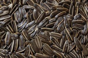 Non Salty Roasted Sunflower Seeds in Shell. A Culinary Canvas of Sunflower Kernels, Creating a Lively and Textured Background for Gourmet Cooking. Scattered Sun Flower Seeds - Top View, Flat Lay photo