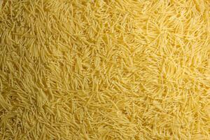 Uncooked Filini Pasta. A Culinary Canvas of Noodles, Creating a Lively and Textured Background for Gourmet Cooking. Dry Pasta. Raw Macaroni - Top View, Flat Lay photo