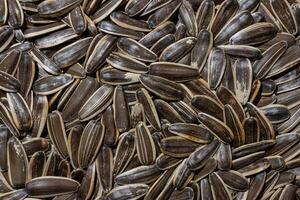 Non Salty Roasted Sunflower Seeds in Shell. A Culinary Canvas of Sunflower Kernels, Creating a Lively and Textured Background for Gourmet Cooking. Scattered Sun Flower Seeds - Top View, Flat Lay photo