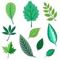 Set of Different Leaf Designs vector