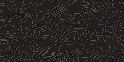 Lines Topographic contour lines map seamless pattern vector