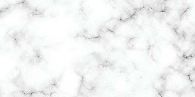 White marble pattern texture for background. Natural patterns for design art work, Stone wall texture background. Seamless pattern of tile stone with bright and luxury. White Carrara marble stone text vector