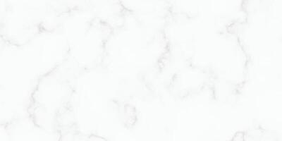 White marble texture in natural pattern with high resolution for background vector
