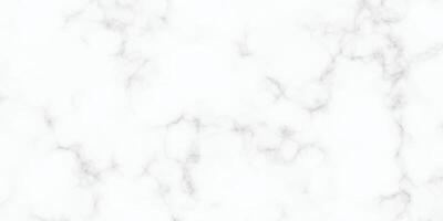 Abstract white marble texture background vector