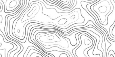 Topographic pattern texture. Geographic topography illustration. Abstract blank detailed topographic contour map. Background of the topographic map. Line topography map contour background vector