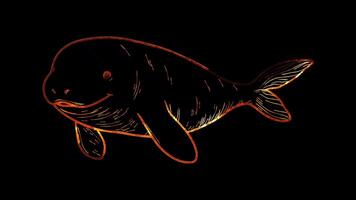Neon frame effect, Dugong dugong with a round body and a gentle smile on black background video