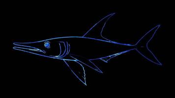 Neon frame effect, Swordfish swordfish with an elongated nose on black background video