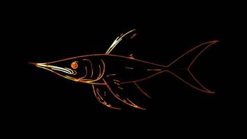 Neon frame effect, Swordfish swordfish with an elongated nose on black background video