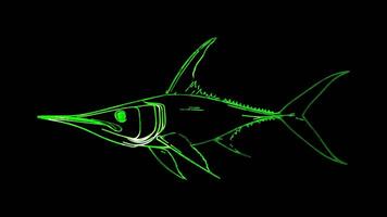 Neon frame effect, Swordfish swordfish with an elongated nose on black background video