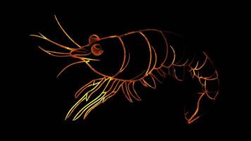 Neon frame effect, Shrimp shrimp with a curvy body and a happy face on black background video