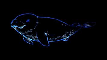 Neon frame effect, Dugong dugong with a round body and a gentle smile on black background video
