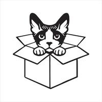 Kitten Peeking from Cardboard Box with Curiosity vector