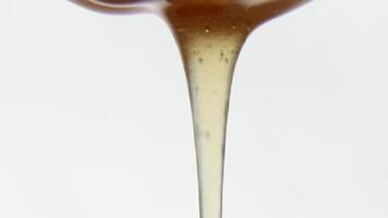 An appetizing stream of honey flows smoothly and continuously. Asmr. video