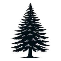 silhouette pine tree with white background vector