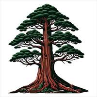 oak tall tree color art with background vector