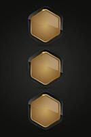 Set of three Luxury hexagon shapes with gold stoked and Black button, Three premium web buttons illustration graphic design vector