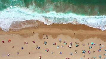 Crowded Beach on a Sunny Afternoon With Waves Crashing Near the Shore video