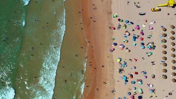 Crowded Beach Scene With Colorful Umbrellas and Waves at Midday on a Sunny Day video