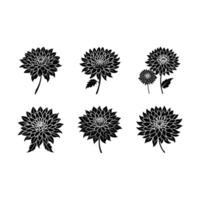 Chrysanthemum and Line Art Design for Graphic Design Projects vector