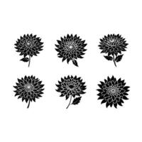Chrysanthemum and Line Art Design Files for Graphic Design vector