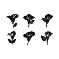 Unique of arum lily, perfect for your digital design projects vector