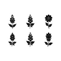 Explore unique delphinium art for stunning graphic design projects vector
