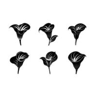 Elegant calla lily AI and line art designs for stunning graphic projects vector
