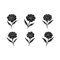 Stunning dianthus and line art design for unique, professional graphics vector