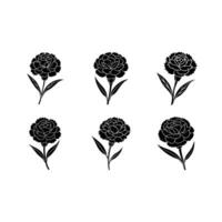 High-Quality Carnation Designs for Graphics vector