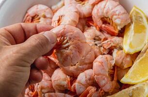 man holding boiled king prawn in his fingers on shrimp background photo