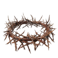 3D Brown Crown of Thorns Isolated on Transparent Background png