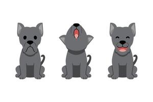 Set of cartoon character cane corso dog vector