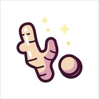 A ginger root with a star on it vector