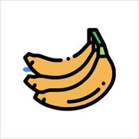 Bananas on white background with blue line vector