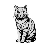 cute cat faces with hand-drawn style. flat design style minimal illustration. cat icon vector