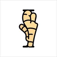 A ginger root is shown in a cartoon style vector