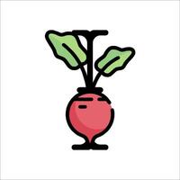 A red beet in a vase with leaves vector