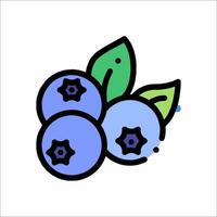 Blueberries icon illustration vector