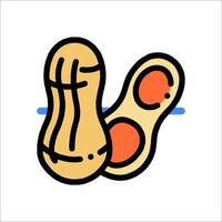 A peanut and a nut are shown in a line vector