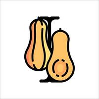 Butternut squash icon illustration vector