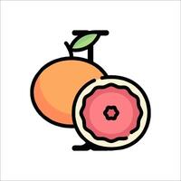 An orange and a grapefruit are shown in a line vector